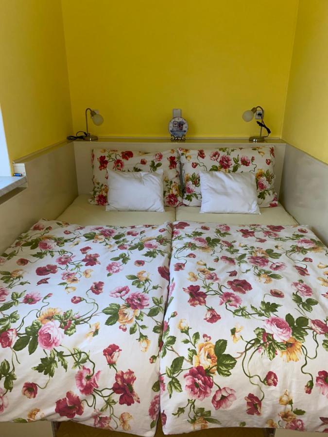 Rodinny Apartman 3+1 Horni Mesto Kültér fotó