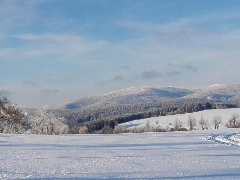 Rodinny Apartman 3+1 Horni Mesto Kültér fotó